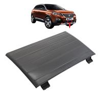 BIAREN Couvre-grille de pare-chocs avant inférieur pour grille centrale pour Peugeot 3008 (2016-2019) 98116922XT