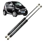 BIAREN Lot de 2 vérins à gaz pour hayon arrière pour Smart City Coupé Fortwo 1998-2007 Système de levage 130 (N) 305 mm 113000013 000618V007