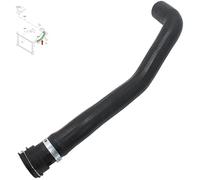 BIAREN Tuyau de radiateur supérieur pour Ford Fiesta Mk5 Fusion Mazda 2 1.25 1.4 1.6 16V 1528662 2S6H8B274AG C2011518X