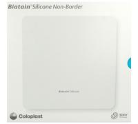 Biatain® Silicone Non-Border 17,5 cm x Pansement(S) 10 pc(s)