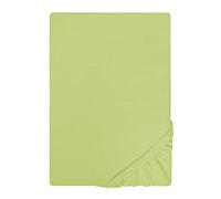 biberna Drap-Housse en Jersey 0077155 Vert Pistache 1x 90x190 cm - 100x200 cm