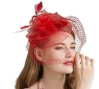 Bibi pour femme - Chapeau de mariage - Clips - Voile - Bandeau - Tea Party - En maille - Pour l'église, Halloween, cocktail, club, RD1, Taille unique