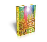 Bible Segond NEG, de poche, illustrée forêt - couverture rigide