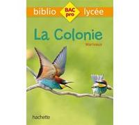 Bibliolycée Pro - La Colonie, Marivaux