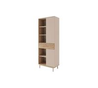Bibliothèque avec 2 portes 1 tiroir et 5 niches - Beige et Naturel clair - REYALA