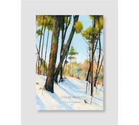 Bibliothèque illustrée - Promenade en hiver - Henry David Thoreau - Reliefs Editions - relié - Roman