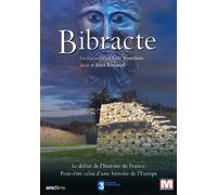 Bibracte - Le début de l’histoire de France. Peut-être celui d’une histoire de l’Europe.