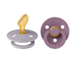 Bibs 2 Tétines Anatomic Duo Fossil/Mauve 2 Pièces