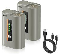 BIBT-Dmw-Blk22D Lot De 2 Batteries De Rechange Usb-C 2500 Mah Pour Panasonic Lumix Dc-S5 Dc-G9 Dc-Gh5 Dc-Gh5 Ii Dc-Gh5S Dc-Gh6