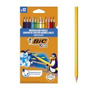 BIC Kids Aquacouleur Crayons de Couleur Aquarellables pour Effet Peinture - Coloris Assortis, Etui Carton de 12