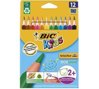 BIC Crayons couleurs Evolution Triangle ECOlutions Triangulaires Couleurs assorties Etui carton 12