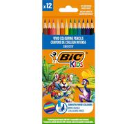 Bic Kids Smooth Eco crayons de bois pour enfants, boîte de 12 couleurs