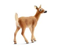 Biche de Virginie