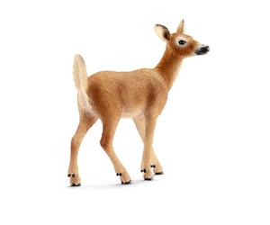 Biche de Virginie