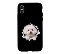 Bichon drôle Frise Regarder Mignon Chien Amant Maman Papa Coque pour iPhone X/XS