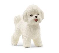 Bichon Frisé