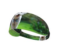 Bichon frisé Bokeh Animaux de Compagnie Chiens Parc Chiens Blancs,Bandeau de Sport Unisexe, Bandeau élastique Multi-usages pour Cheveux