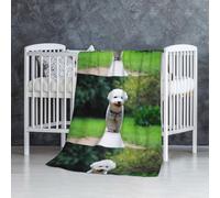 Bichon frisé Bokeh Animaux de Compagnie Chiens Parc Chiens Blancs,Couverture Douce et Chaude en Flanelle Anti-Boulochage 76 x 127 cm