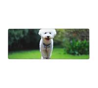 Bichon frisé Bokeh Animaux de Compagnie Chiens Parc Chiens Blancs,Grand Tapis de Souris pour Bureau, Clavier d'ordinateur, avec Base en Caoutchouc antidérapante, 30 x 80 cm