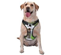 Bichon frisé Bokeh Animaux de Compagnie Chiens Parc Chiens Blancs,Harnais pour Animaux de Compagnie, Harnais réfléchissant réglable pour Chien,XL