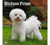 Bichon Frise | Calendrier mural mensuel carré 2026 30,5 x 61 cm | Sans plastique | BrownTrout | Animaux races de chiens