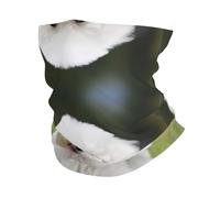 Bichon Frise Dog Foulard de sport tendance et polyvalent, doux et léger, adapté à diverses activités sportives