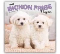 Bichon Frise Puppies | Calendrier mural mensuel carré 2026 30,5 x 61 cm | Sans plastique | BrownTrout | Animaux races de chiens chiots
