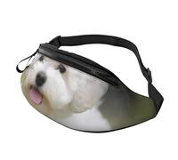 Bichon Frise Sac banane imprimé chien avec trou pour écouteurs pour homme et femme - Sac banane de sport réglable pour l'extérieur, l'entraînement, la randonnée, Noir , Taille unique, Sac à dos de