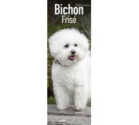 Bichon Frise Slim