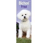 Bichon Frise Slim Calendar 2026 Dog Breed Slimline Calendar - 12 Month
