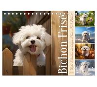 Bichon frisé, weiße Hündchen mit lockigem Haar (Tischkalender 2026 DIN A5 quer), CALVENDO Monatskalender: Entzückende KI-Bilder dieser niedlichen Hunderasse