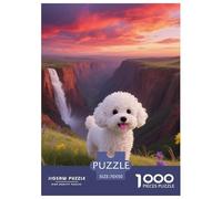 Bichon Frise1000 Pieces Jigsaw Puzzles for Adults and Kids Family Game Pet mignonChallenging Home Decors Great Gift Idea70x50cm/1000pcs