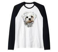 Bichon Maltais Petit Chien Bichon Maltais Amour Mignon Manche Raglan