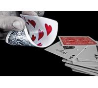 Bicycle 100% Plastic Cards - Tricks