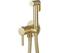 Bidet portatif manuel, Ensemble bidet et pulvérisateur à couches, Mural, Laiton, Multicolore, avec eau chaude et froide(Or)