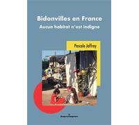 Bidonvilles en France: Aucun habitat n'est indigne