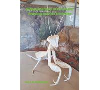 Bidsprinkhaan stelt attent - Praying mantis trickster