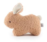 BIECO Peluche Lapin Fine en Bouclette avec Carotte Grinçante | 20cm | Doudou Bebe Fille Moelleuse et Douce Pour Bébé, Ado, Enfant 1 an