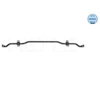 Bielle de stabilisateur Essieu arrière 100 653 0017 MEYLE pour SEAT SKODA VW