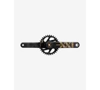 Bielles SRAM XX1 Eagle DUB BOOST Direct Mount 34D doré - 175