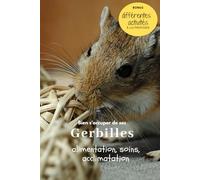 Bien s'occuper de ses Gerbilles: alimentation, accessoires, soins, acclimatation