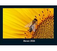 Bienen 2026 Fotokalender DIN A4: Monatskalender mit Bild-Motiven von Haustieren, Bauernhof, wilden Tieren und Raubtieren