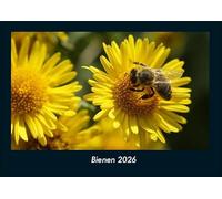 Bienen 2026 Fotokalender DIN A4: Monatskalender mit Bild-Motiven von Haustieren, Bauernhof, wilden Tieren und Raubtieren