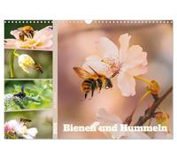 Bienen und Hummeln in Aktion (Wandkalender 2026 DIN A3 quer), CALVENDO Monatskalender: Bienen & Hummeln - Flugkunst im Fokus!