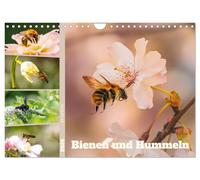Bienen und Hummeln in Aktion (Wandkalender 2026 DIN A4 quer), CALVENDO Monatskalender: Bienen & Hummeln - Flugkunst im Fokus!