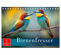 Bienenfresser - im Flug der Farben (Tischkalender 2026 DIN A5 quer), CALVENDO Monatskalender: Die Gefiederpracht strahlt in voller Intensität.
