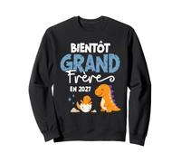 Bientôt Grand Frère 2027 Annonce Futur Grand Frère Dinosaure Sweatshirt
