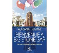 Bienvenue à Big Stone Gap