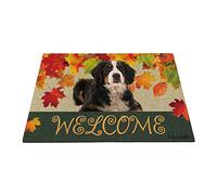 Bienvenue À L'Automne avec Mon Chien Préféré, Adorable Bouvier Bernois, Saison des Récoltes des Feuilles D'Érable Tapis De Porte Doux Tapis De Bain Antidérapant Paillasson D'Entree 40X60Cm