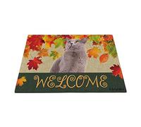 Bienvenue À L'Automne avec Mon Chien Préféré, Mignon Chat British Shorthair, Saison des Récoltes des Feuilles D'Érable Paillasson D'Entree Doux Paillasson De Bienvenue Tapis De Bain 40X60Cm